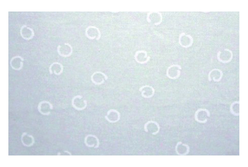 Mash Chiquitón Pillow
