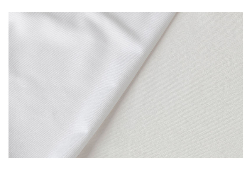 Velfont Anti-Bedbug Mattress Protector