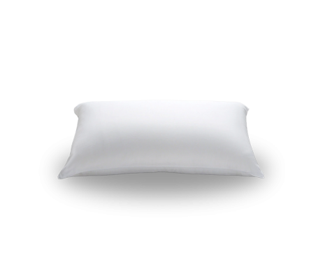 Gobi Downy Pillow