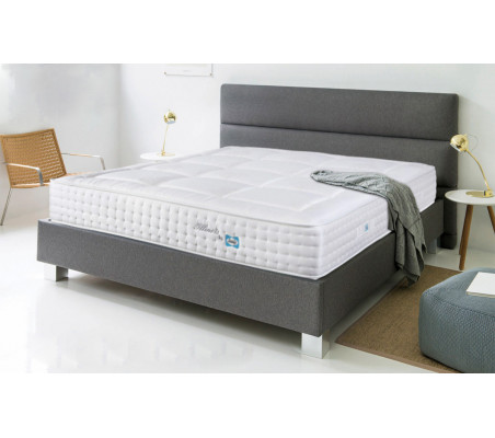 Sealy Illinois New Mattress